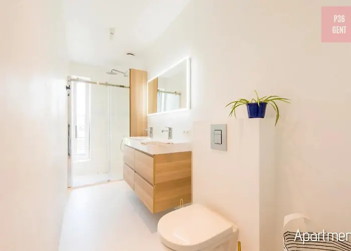 Lovely & Stylish At P36 Gent, Near The Center Apartment